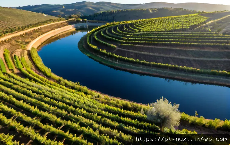 Home 17 지속 가능한 수자원 관리 기법 - Photorealistic aerial view of a sustainable water management landscape in rural Portugal, terraced o...